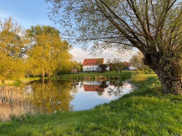 Traumhaftes Luxus-Ferienhaus Warnkenhagen  Dış mekan fotoğraf
